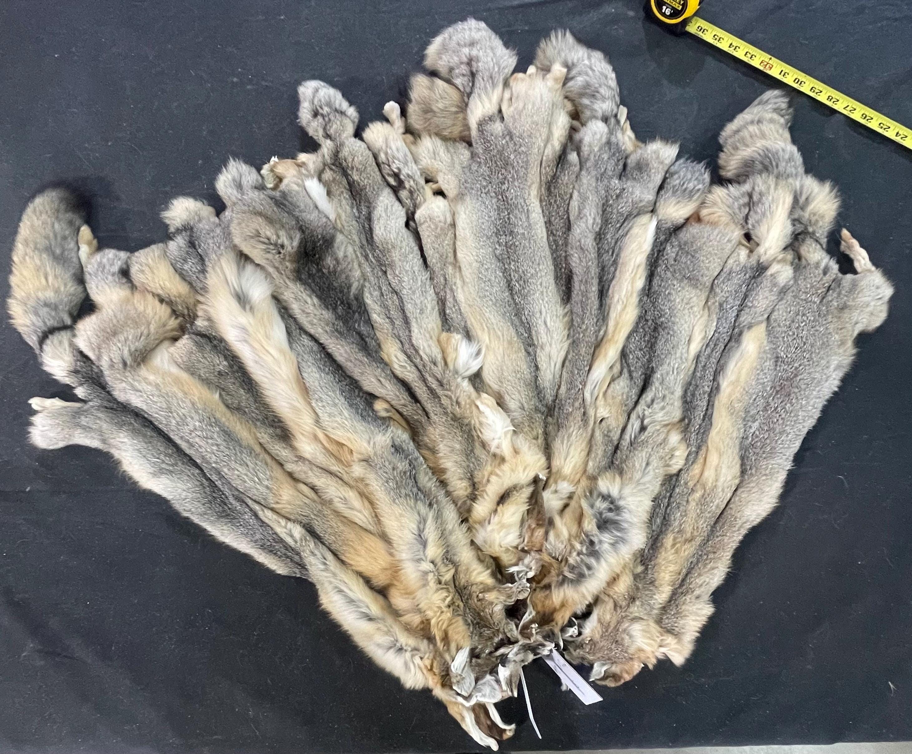 Tanned fox professional soft tanned swift fox silky fur real fur ethically sourced fur